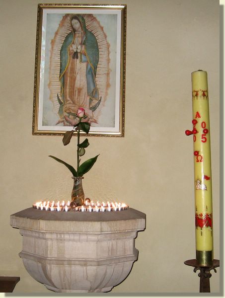 dadopcja 006x.jpg