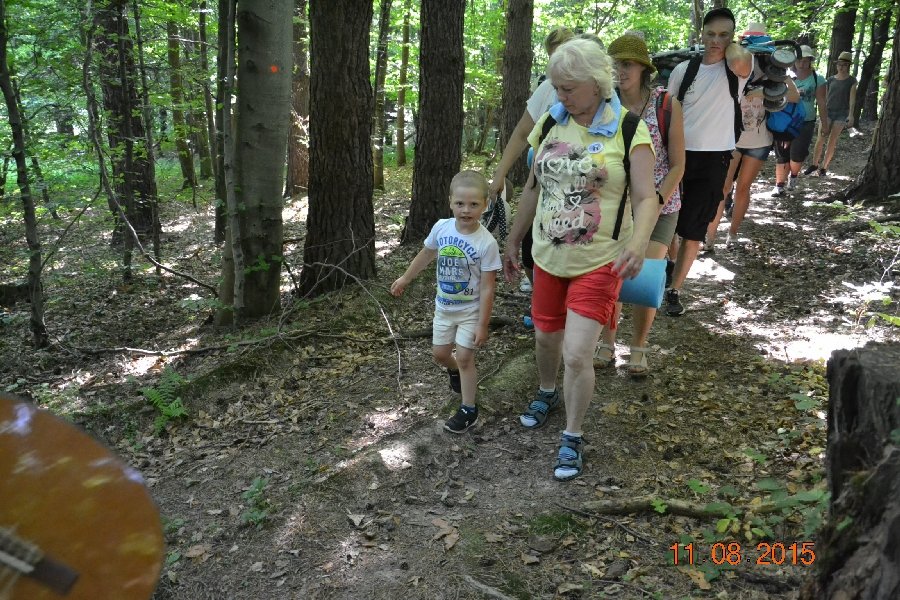 ppkk_11_08_2015293.jpg