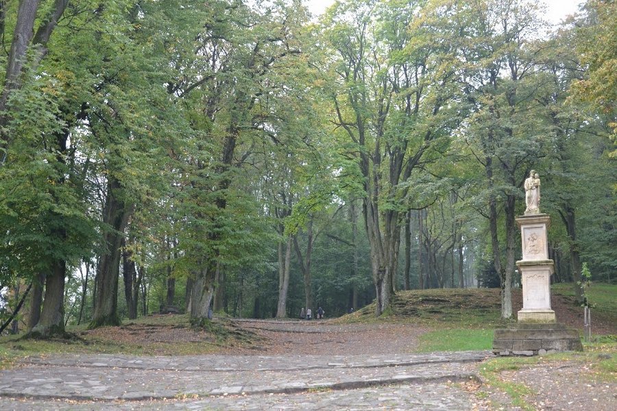 Pielgrzymka_8_9_10_2016_284.jpg